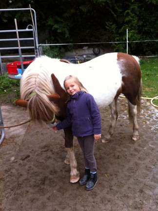 Ponyhof 005